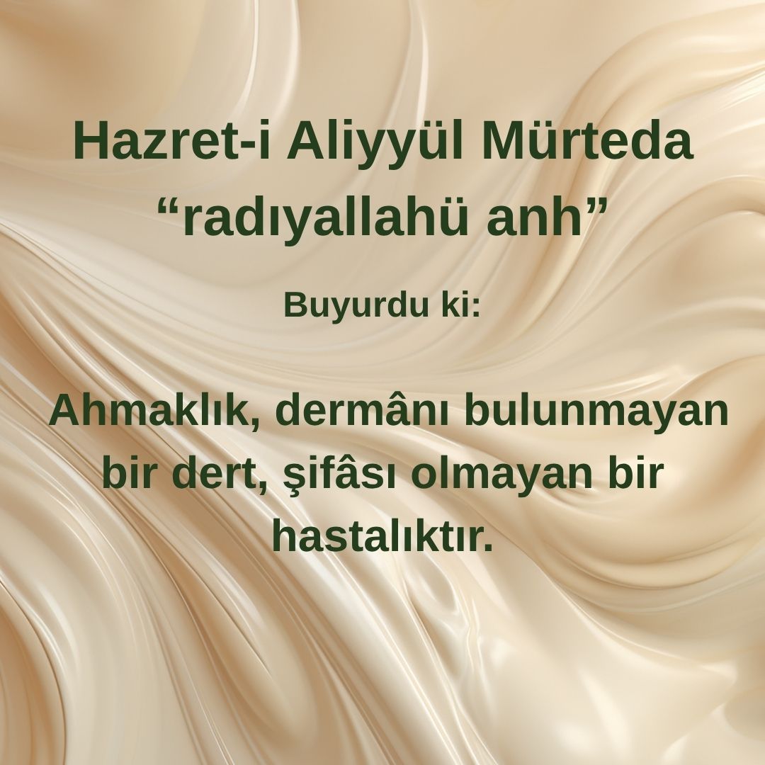 Aliyyül Mürteda (71)